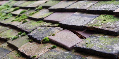 Severn Stoke roof repair costs